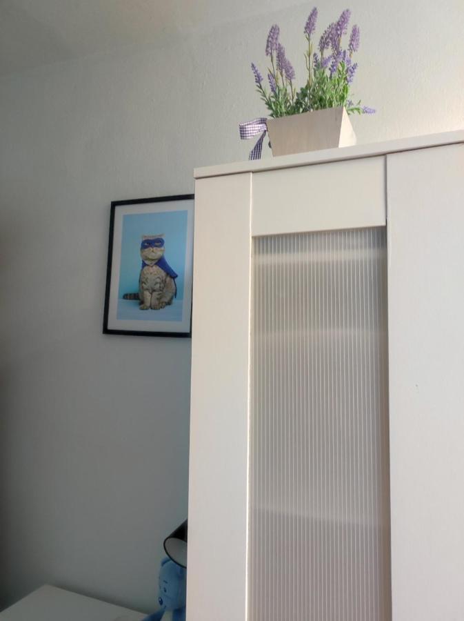 Single Room No.4 In The Very Center Of Varsovie Extérieur photo